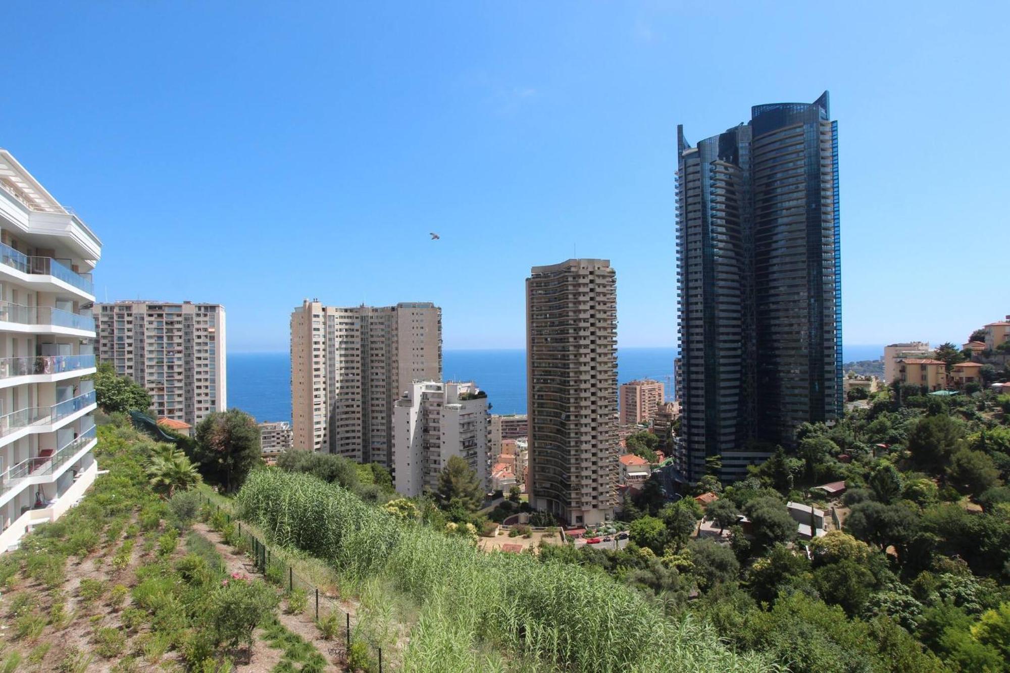 Sun Paradise Seaview&Terrace Parking&Pool 보솔레이 외부 사진